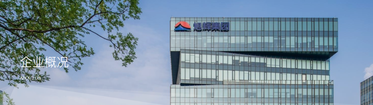 旭辉集团2000年成立于上海,其控股股东旭辉控股(集团)2012年在香港